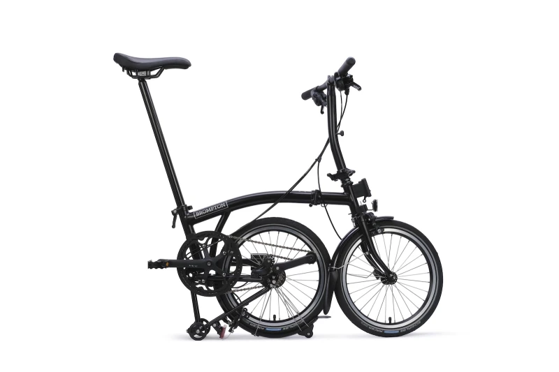 RS12892_.jpg