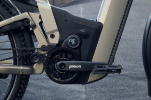 Homage5 GT pinion_warm silver_03.jpg