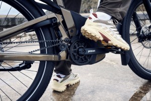 Delite5_GT_pinion_amber_08.jpg