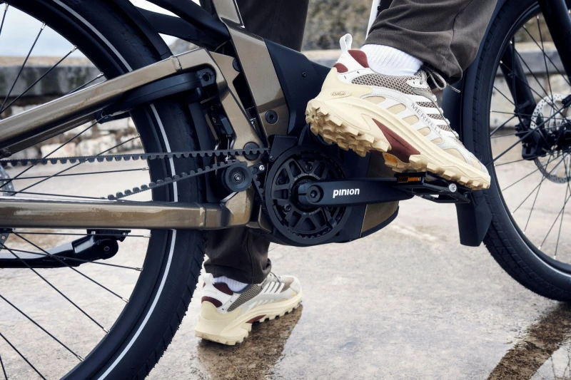 Delite5_GT_pinion_amber_08.jpg