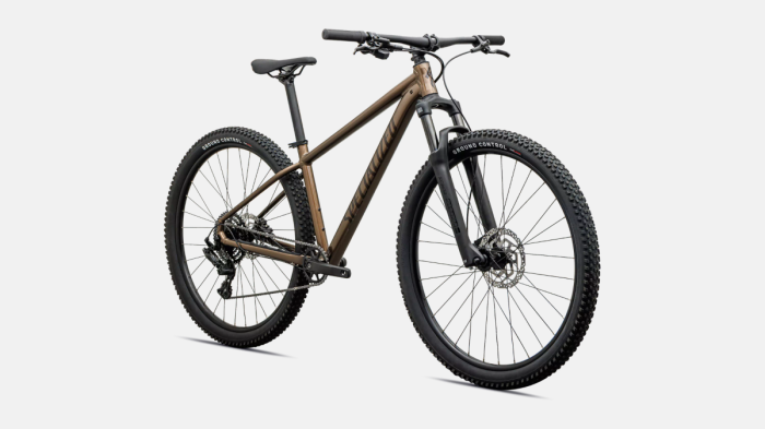 imgi_2_91827-63_ROCKHOPPER-SPORT-KH-BNTGLDMET-STLNMET-M---29_FDSQ.png