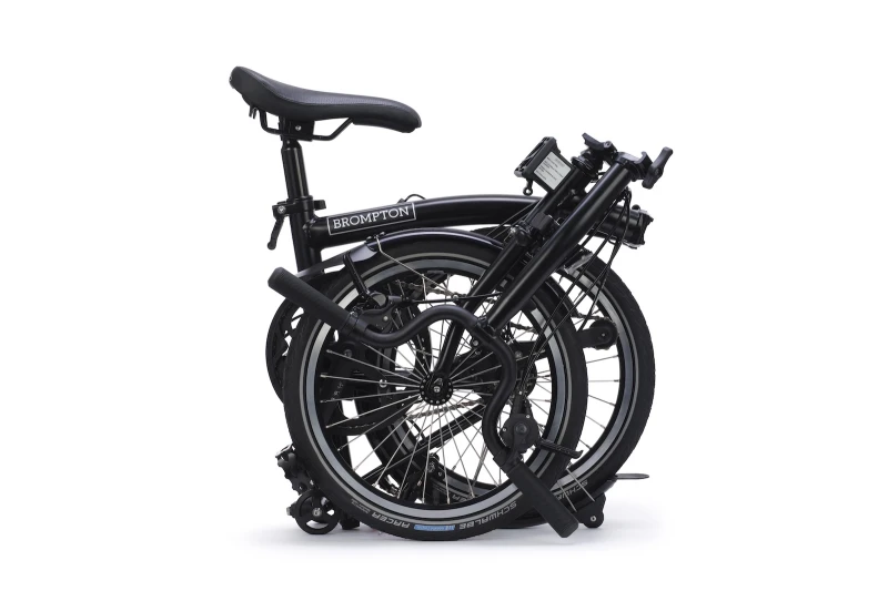 RS12900_.jpg